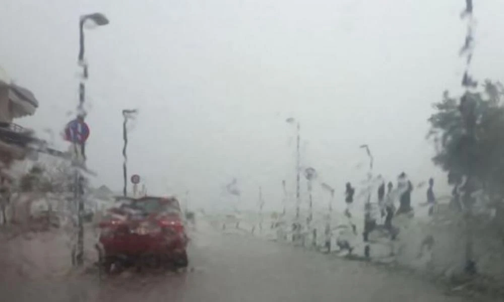 Χαλκιδική: Σοκάρει η μαρτυρία του δημοτικού υπαλλήλου που έπεσε θύμα ξυλοδαρμού- Με έριξαν στα νερά και με γρονθοκοπούσαν